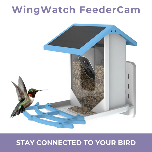 WingWatch FeederCam
