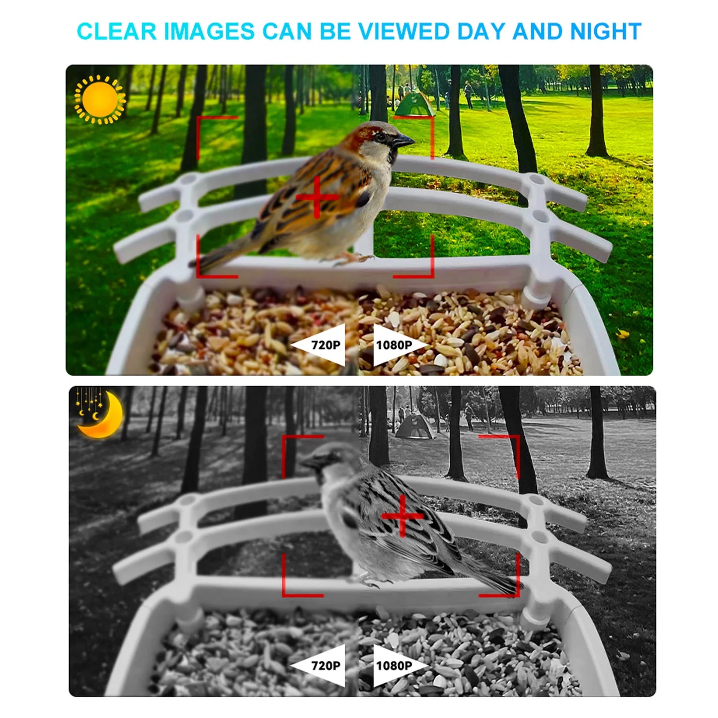 WingWatch FeederCam