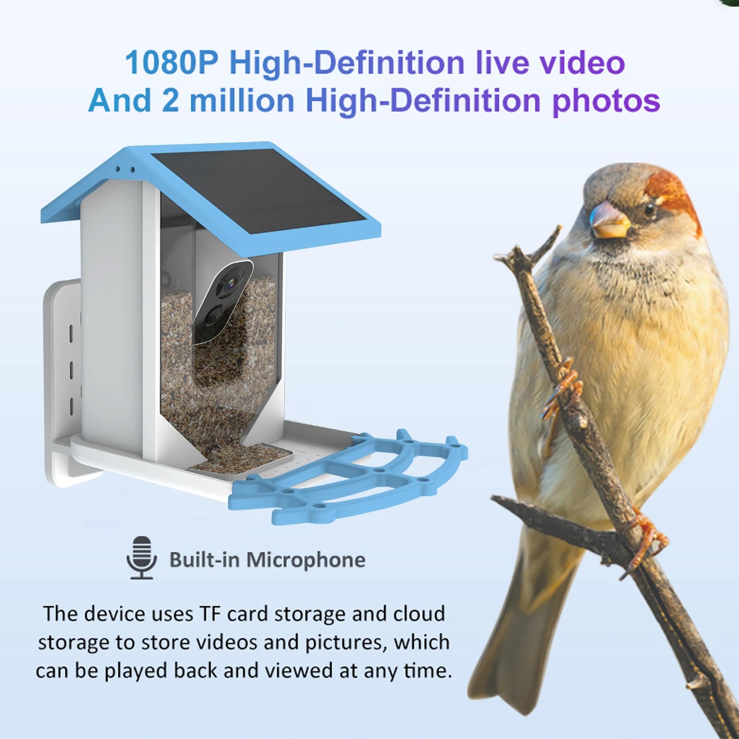 WingWatch FeederCam